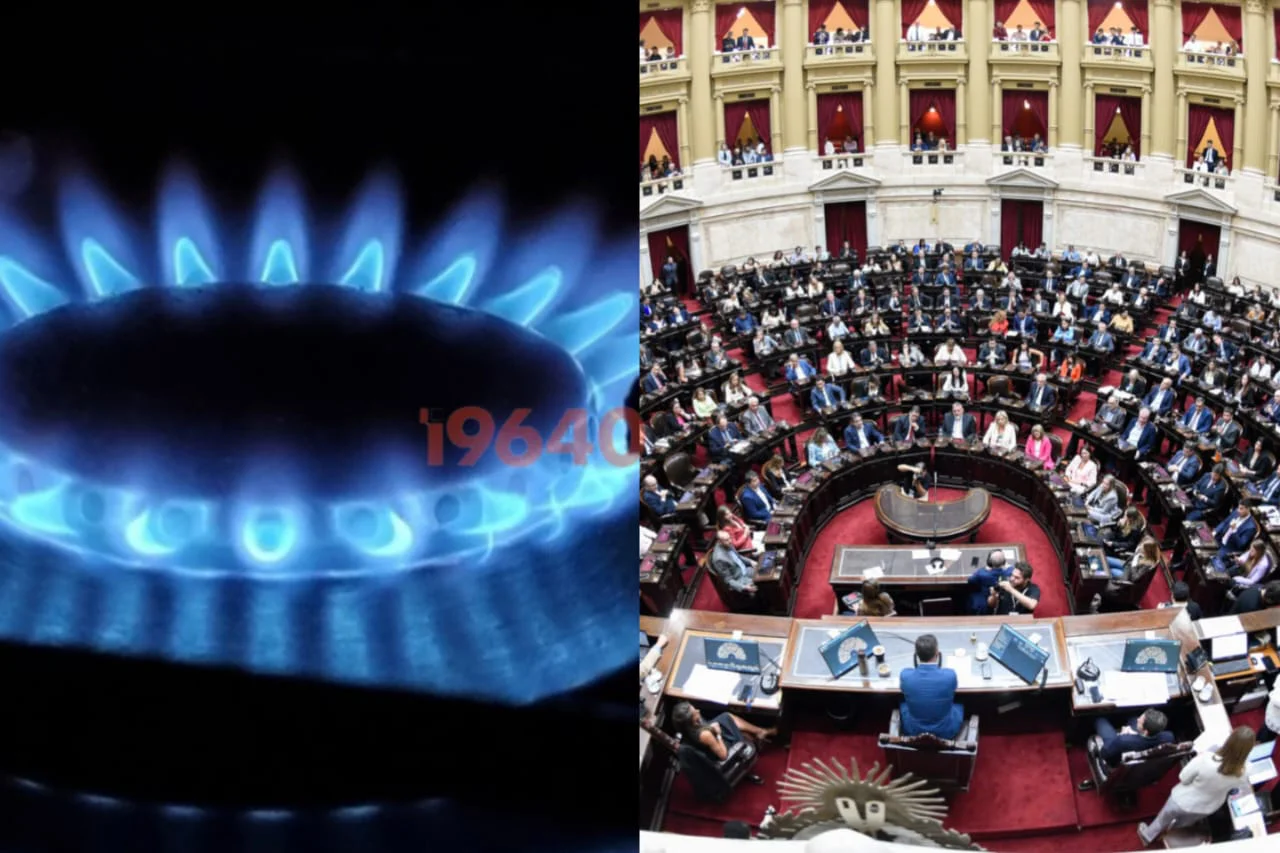 Zona fría- Diputados