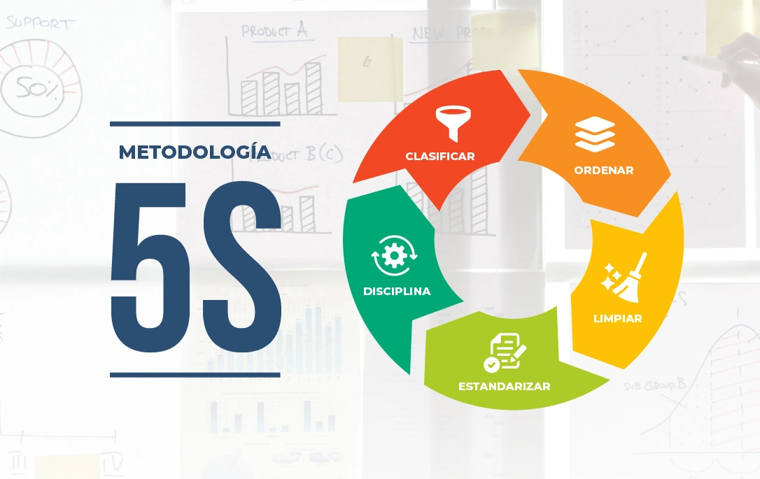 metodologia-5s.Dk8Y816E