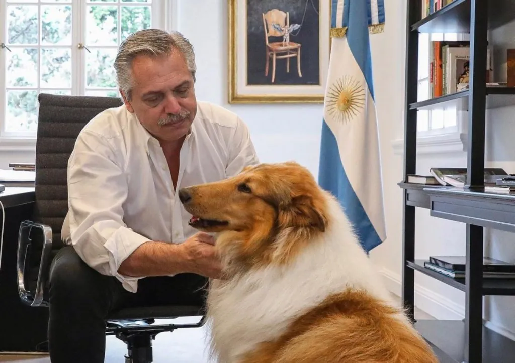 Dylan perro Alberto Fernández 