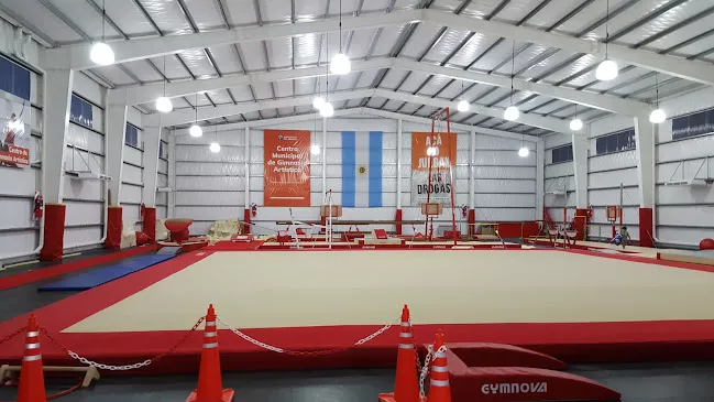 Gimnasia Artística