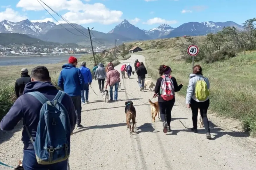 caminata homenaje perros caídos en malvinas 