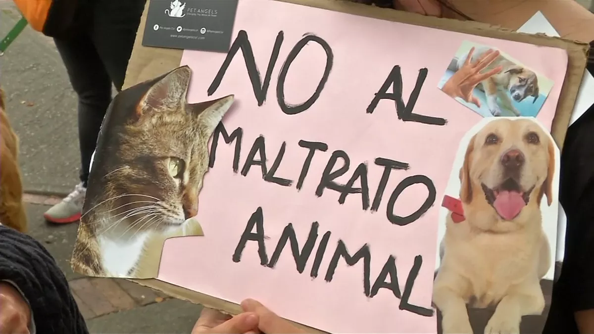 maltrato animal}