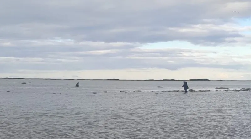 WhatsApp Image 2024-09-20 at 7.33.41 PM