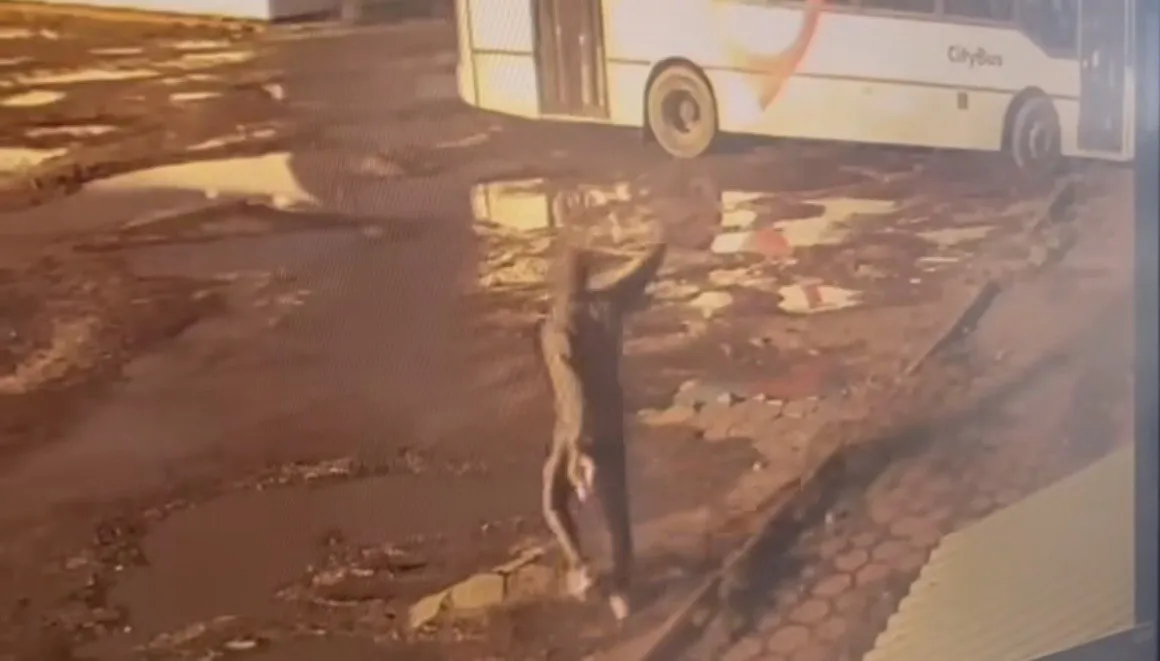 VIOLENCIA CITYBUS