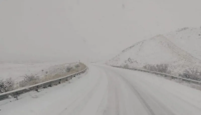 Rita nevada Santa Cruz