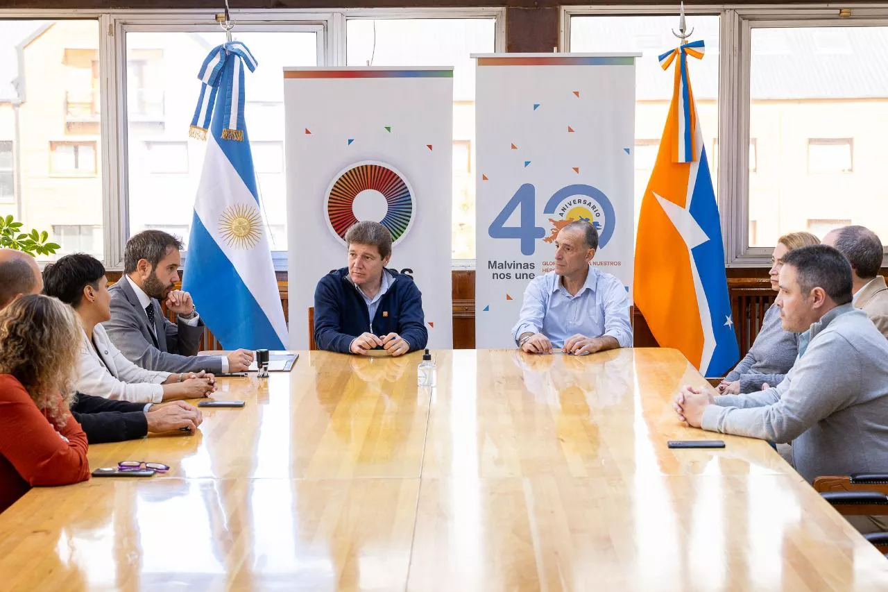 Cesión Visteon Melella