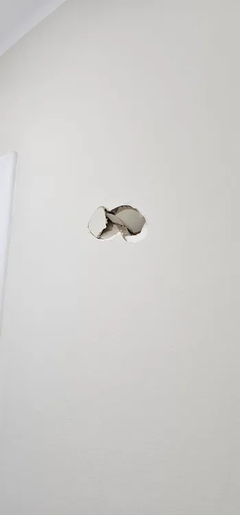 Daños en el Concejo1