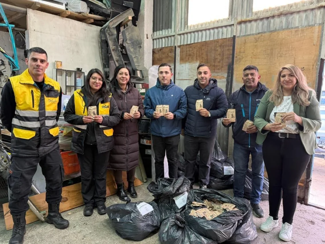 Vitalcan-Municipio- protectoras