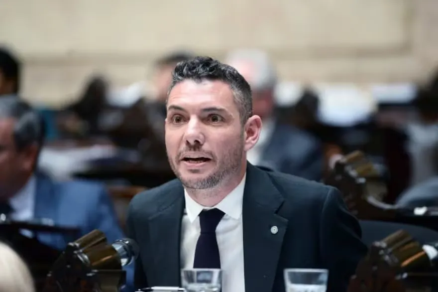 Diputado PRO- Damián Arabia