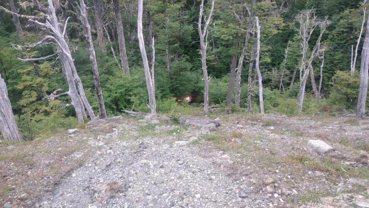 2135b647-0373-4764-9c69-dff2fd7df392