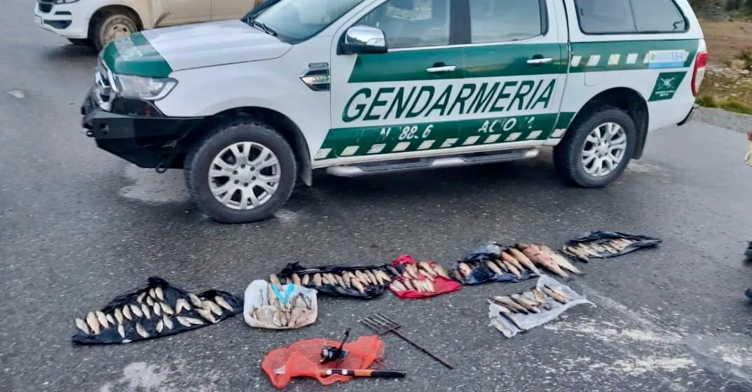 Gendarmería truchas