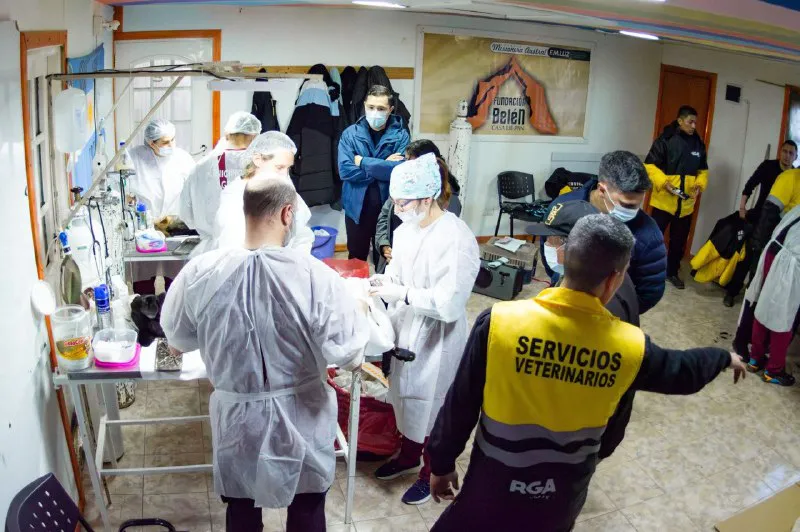 Jornada de Castración masiva zona Sur