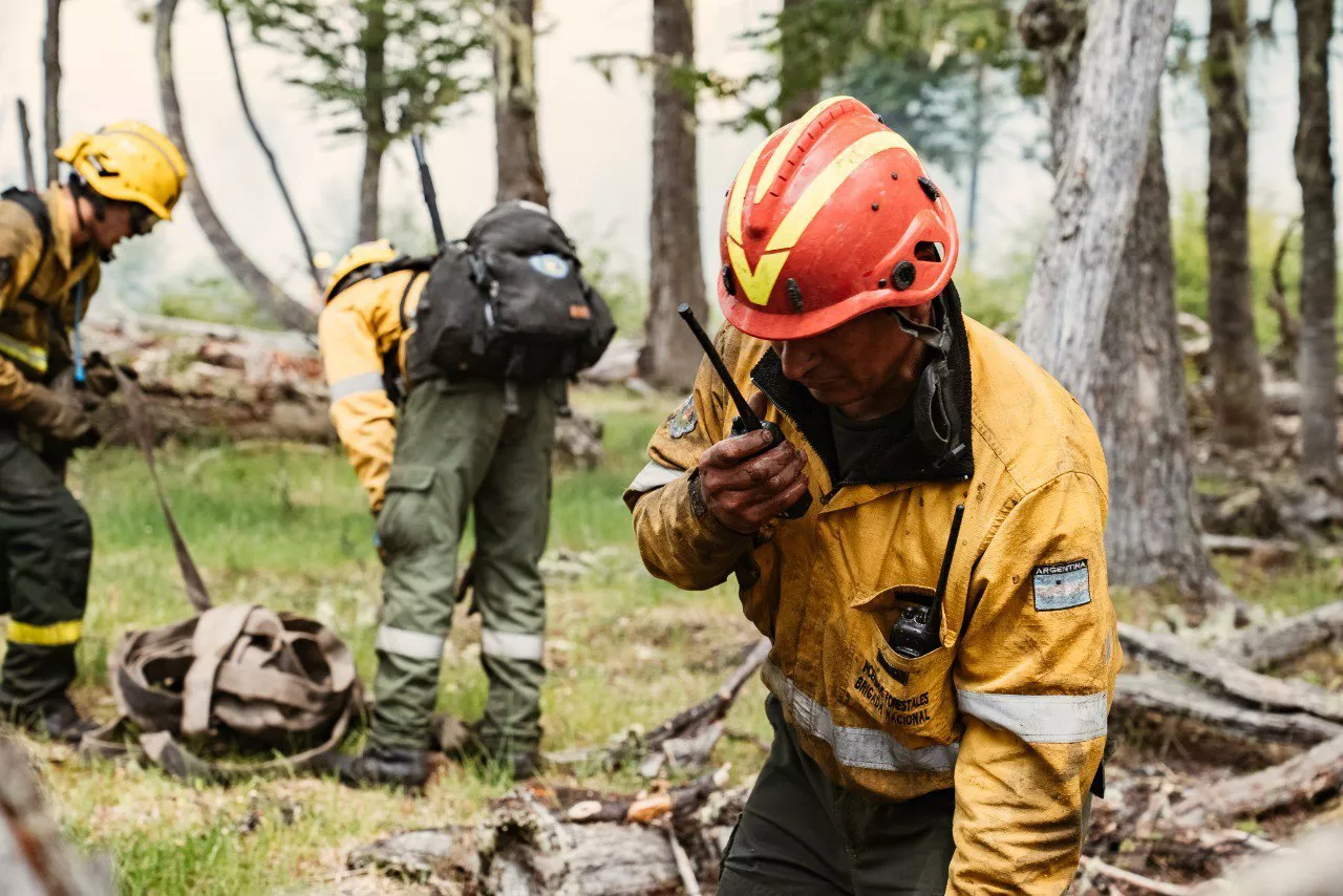 Incendio en la Reserva Corazón de la Isla (2)
