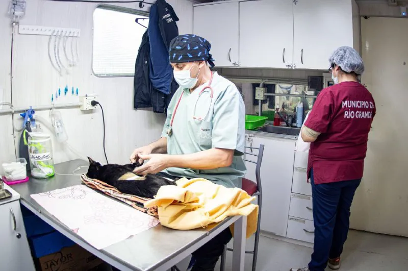 Jornada de Castración masiva