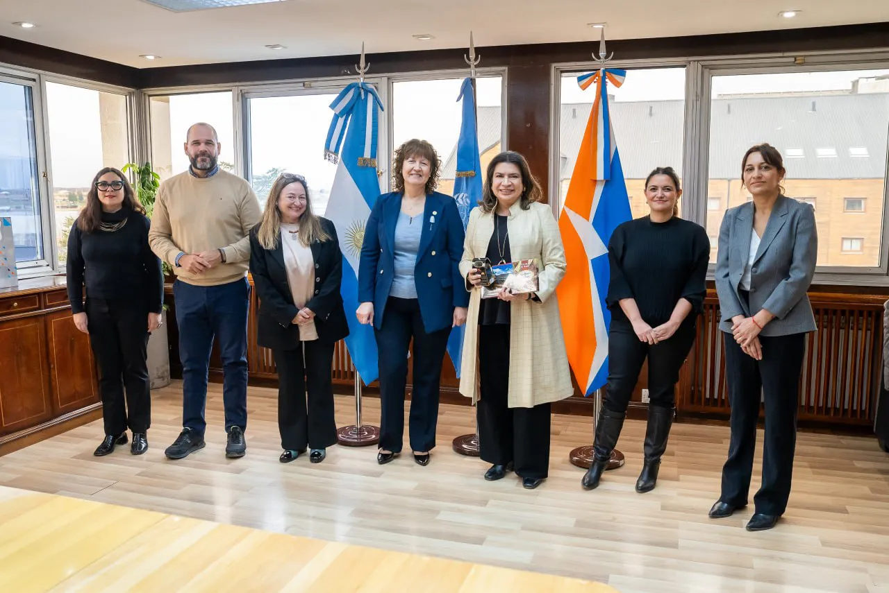 Gobierno ONU
