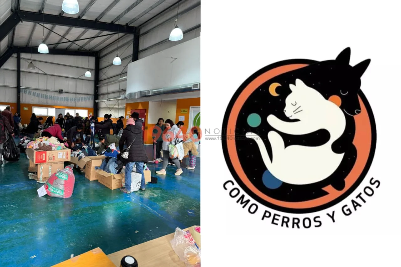 Feria Como perros y gatos