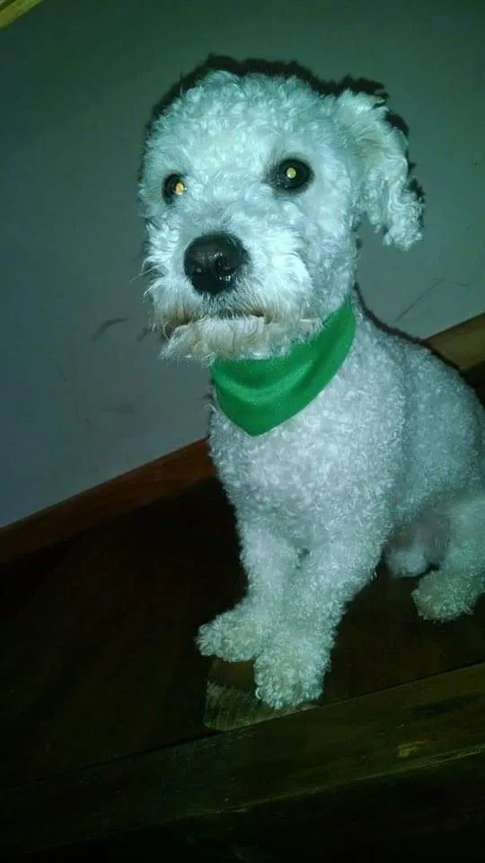 IMG-20230723-WA0074