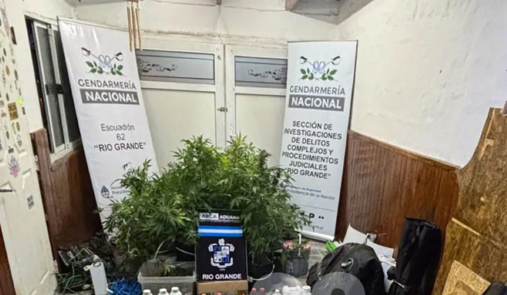 Allanamiento narcomenudeo- RG