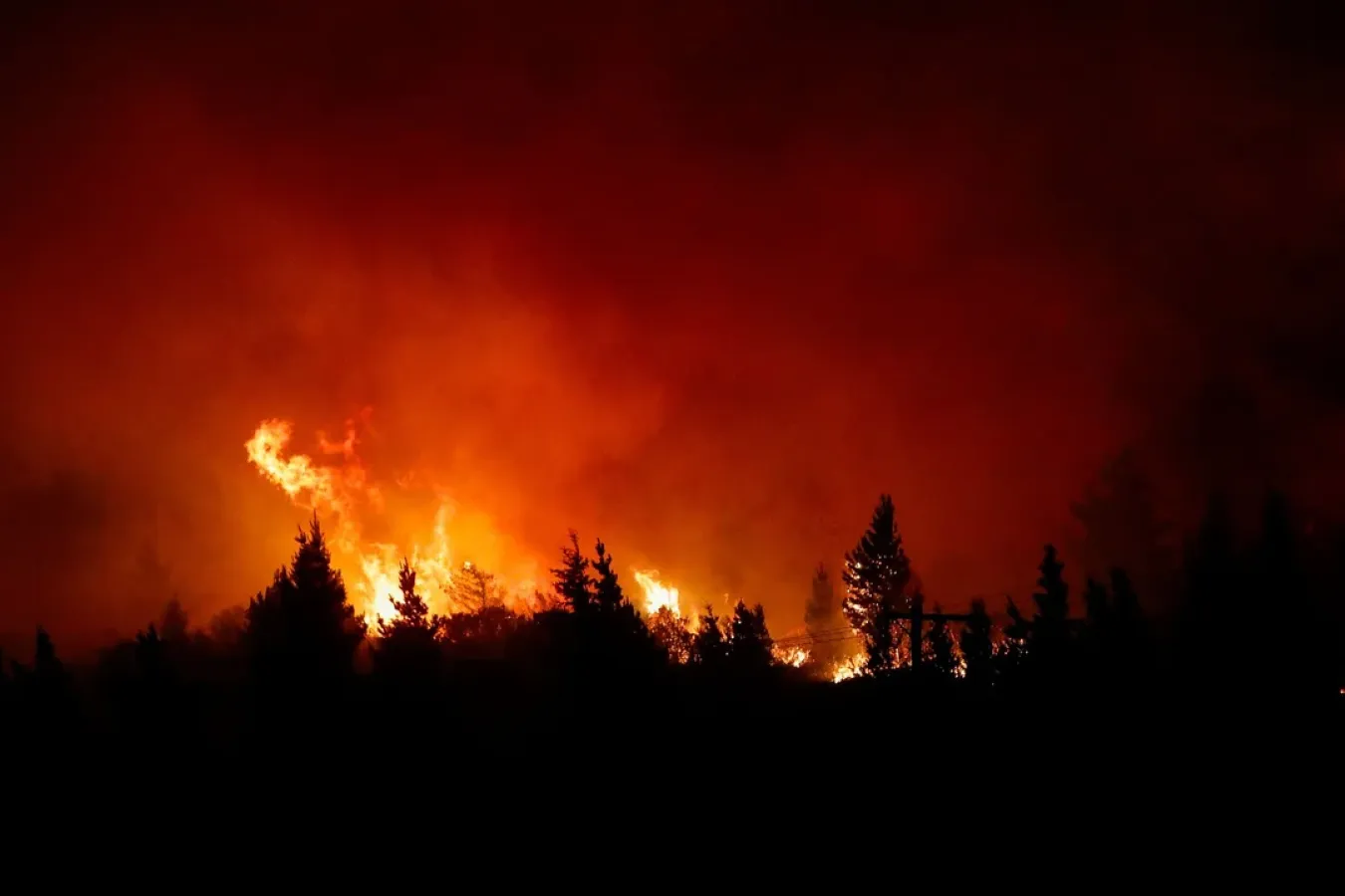 Parque Nacional Nahuel Huapi- incendio forestal
