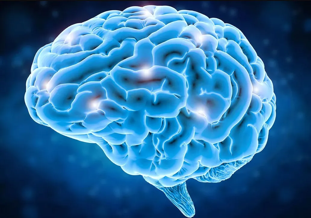 cerebro