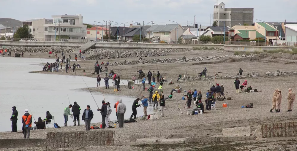 Torneo del Róbalo