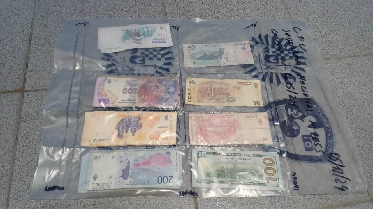 Robo y allanamiento en Ushuaia