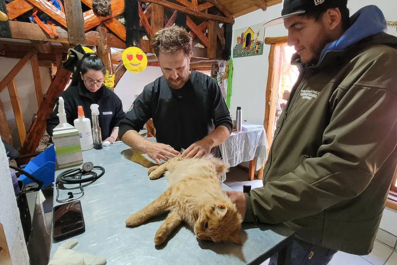 jORNADA DE CASTRACIÓN tolhuin
