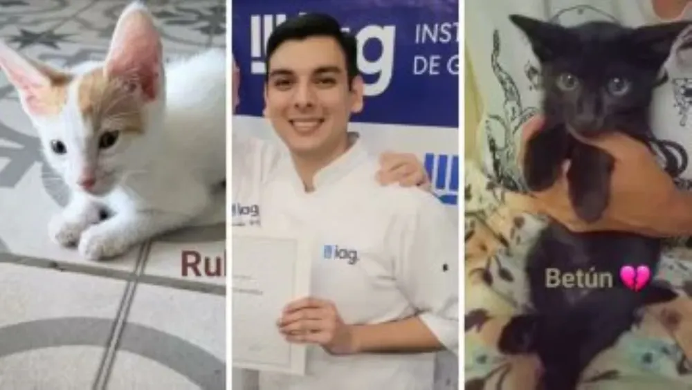 Asesino de gatos. adriel caminos ortega