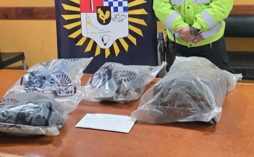 Allanamiento Ushuaia