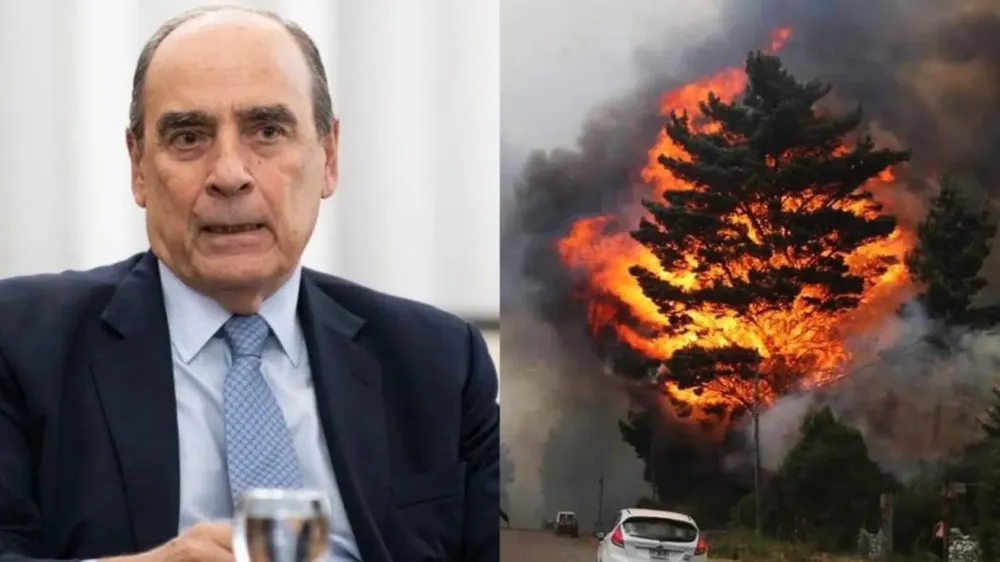 Guillermo Francos- Incendios