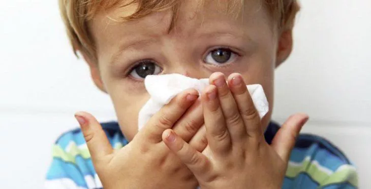 gripe-nenes