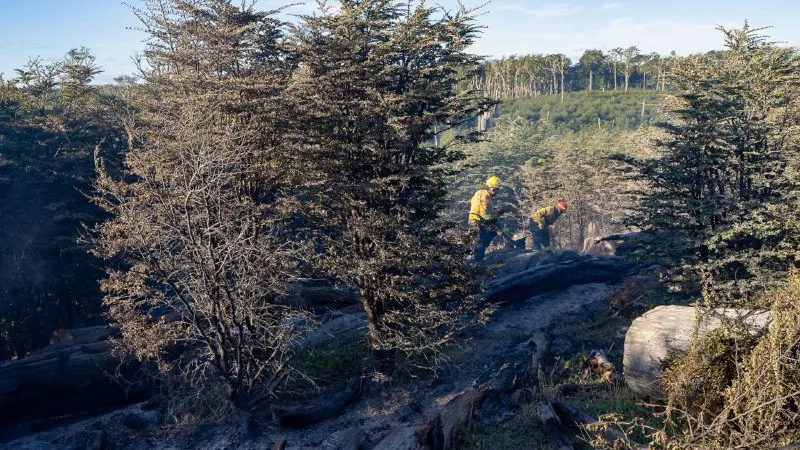 Incendio Estancia San Justo