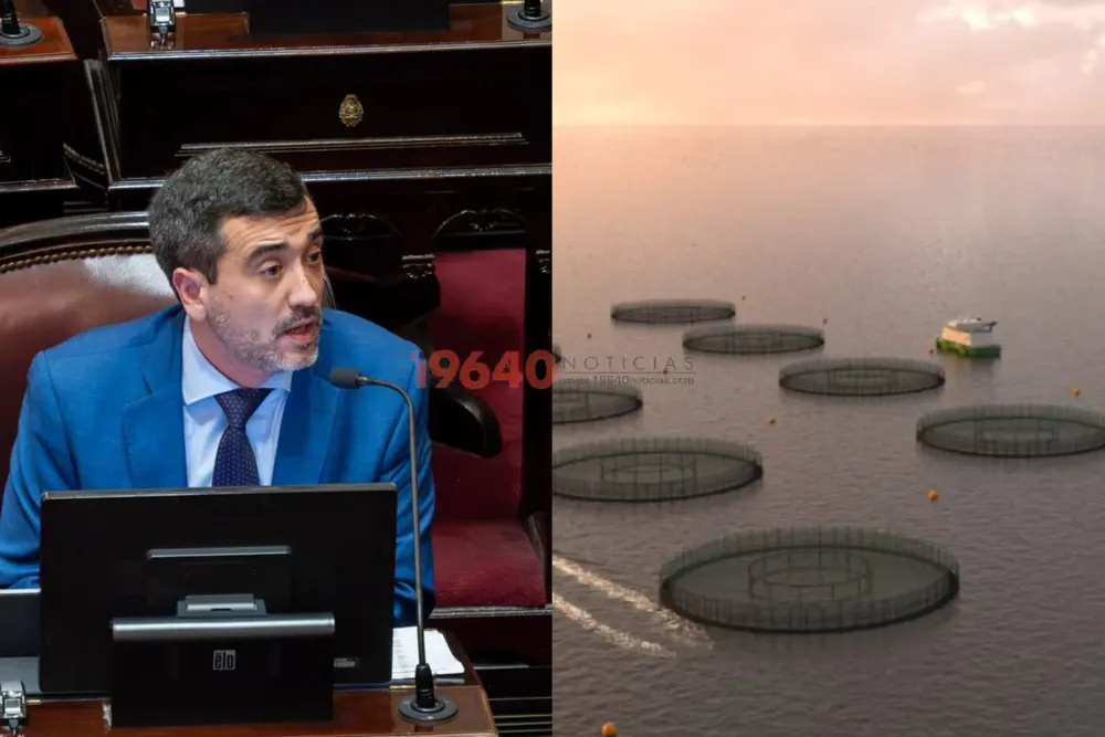 Coto- Salmoneras Malvinas
