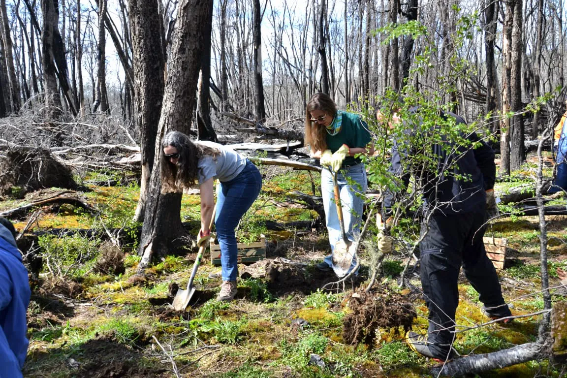 GOB- Restauración Ambiental en la Reserva Provincial Corazón de la Isla