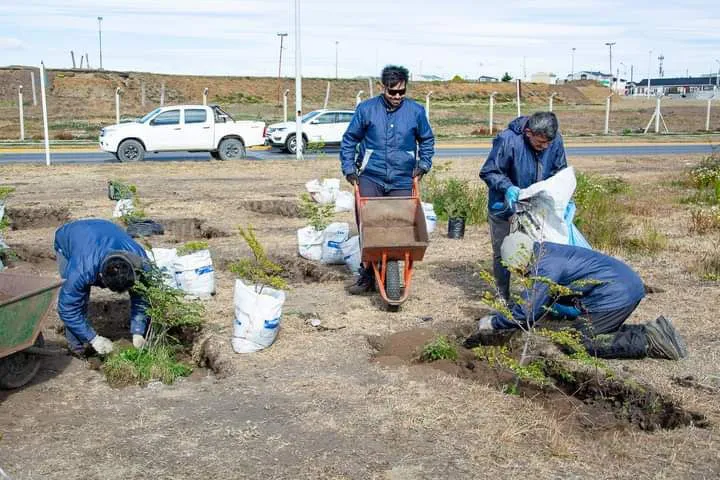 Plantación Minibosque 1