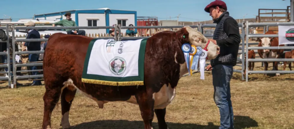 Hereford. sociedad Rural