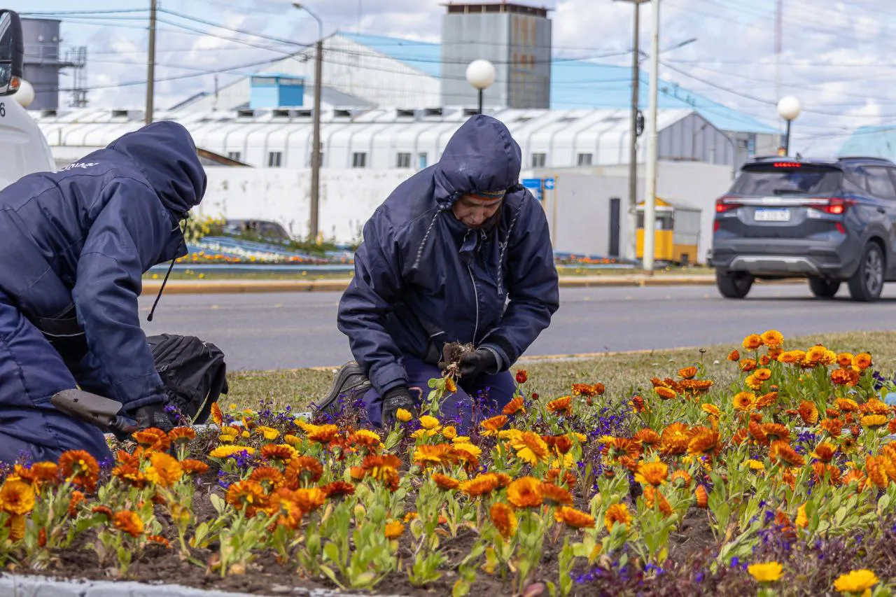 Embellecimiento urbano