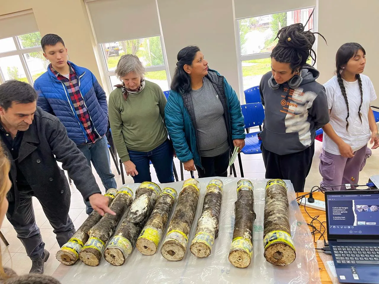 Hongos en troncos de lenga- Gob