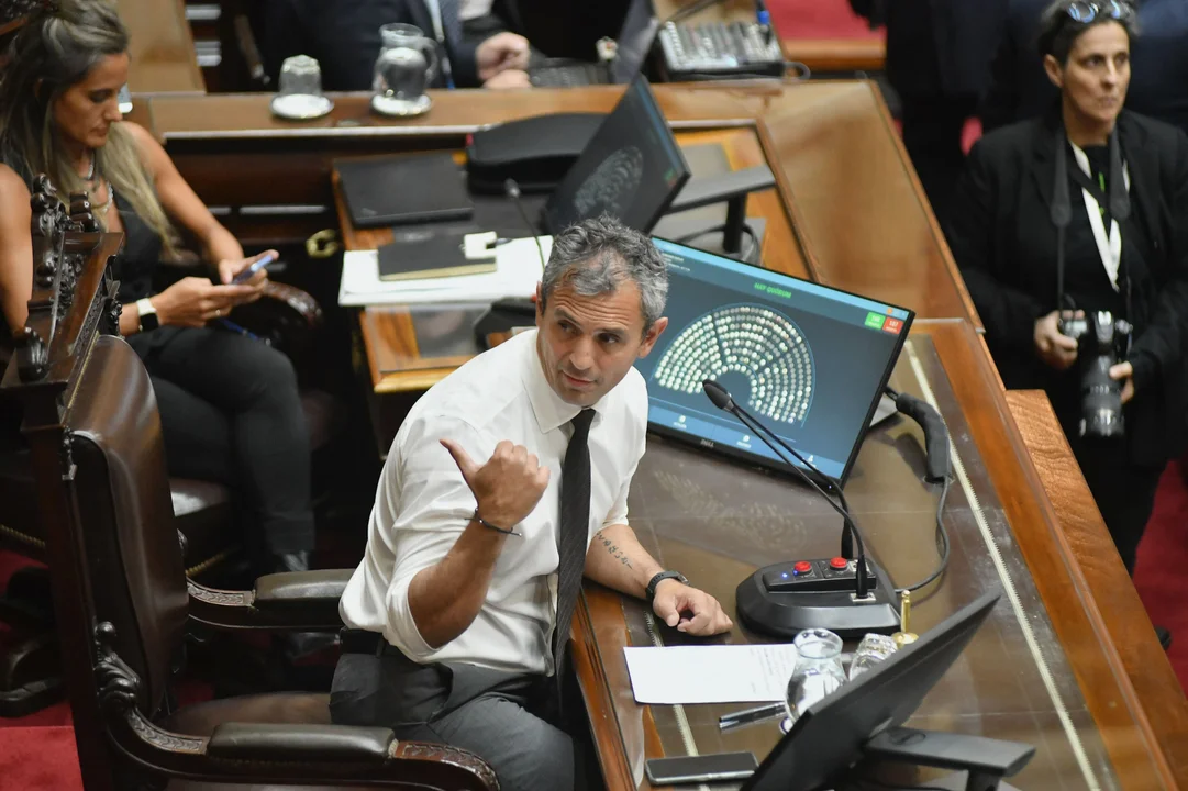 cámara de diputados 