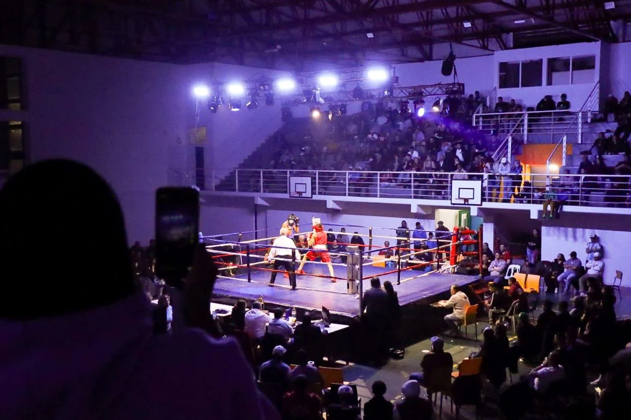 Festival de Boxeo- GOB
