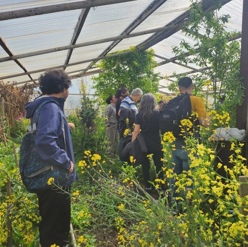 UNTDF Ing. Agrónomo