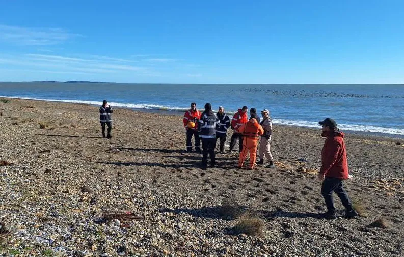 Búsqueda Punta María