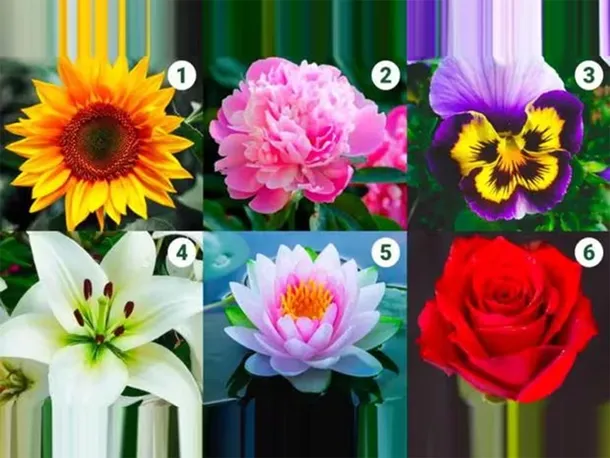 test-viral-florespng