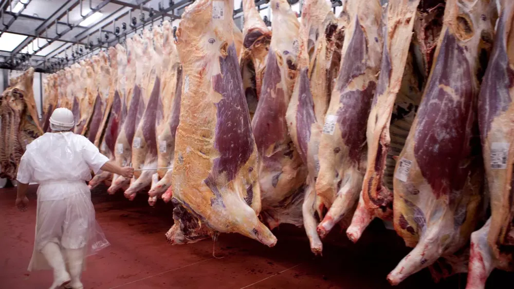 exportacion carne vacuna