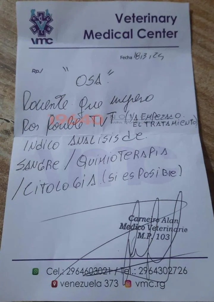 WhatsApp Image 2025-03-18 at 20.31.05