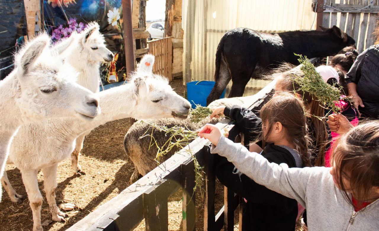 Recreo en la Granja- GOB