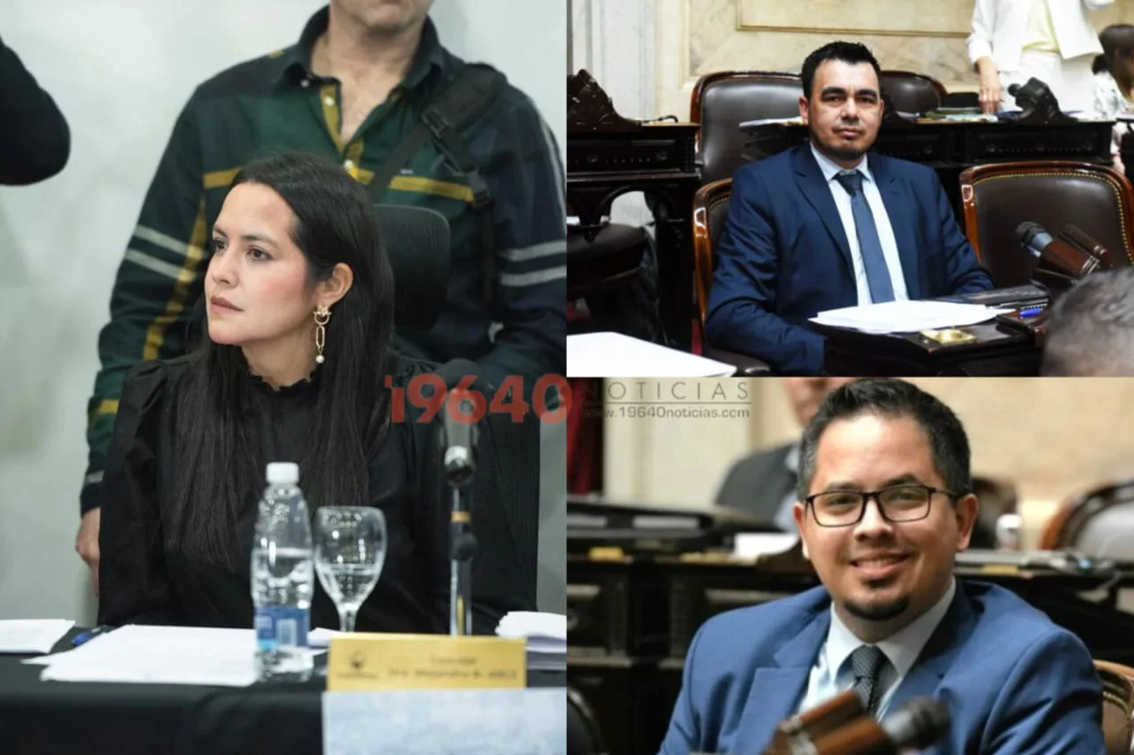 Arce- Pauli y Rodríguez