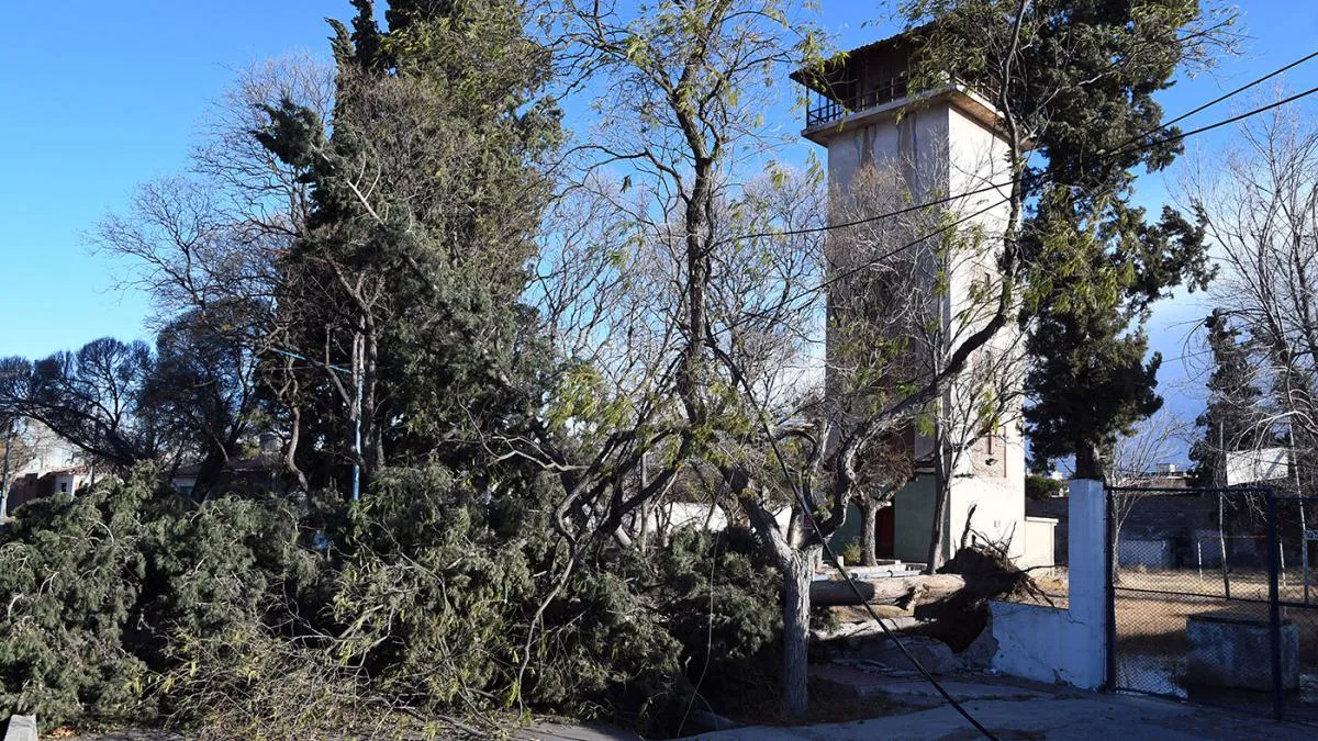 Viento Zonda Mendoza