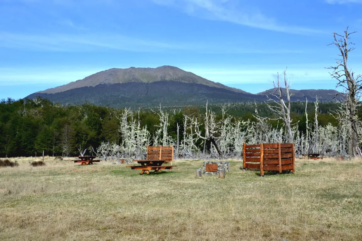 GOB- Restauración Ambiental en la Reserva Provincial Corazón de la Isla