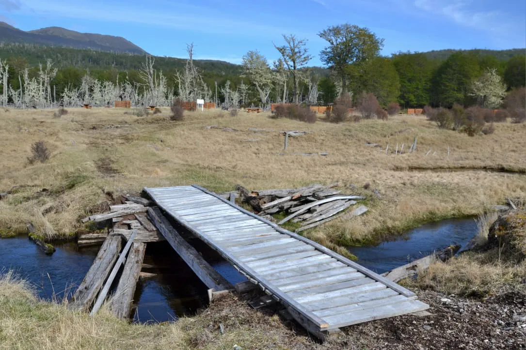 GOB- Restauración Ambiental en la Reserva Provincial Corazón de la Isla